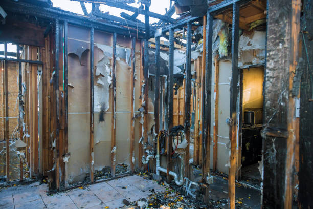 Professional Soot Cleanup technician working in Cream Ridge, NJ